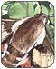 klik hier...